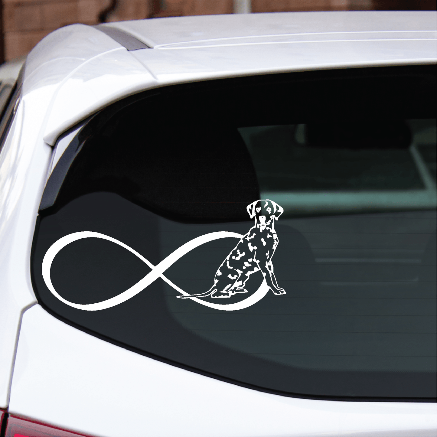 ShopVinylDesignStore.com Infinity Dalmatian Wide Shop Vinyl Design decals stickers
