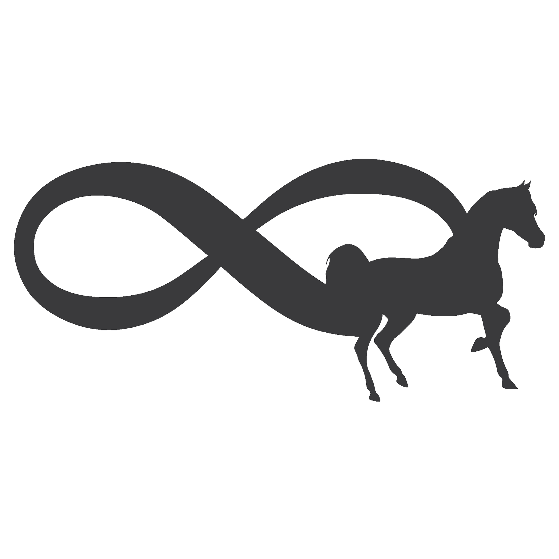 ShopVinylDesignStore.com Infinity Horse Wide Shop Vinyl Design decals stickers