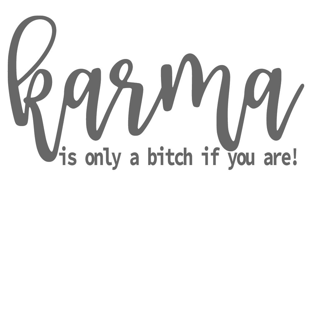 ShopVinylDesignStore.com karma Is Only A Bitch If You Are Wide Shop Vinyl Design decals stickers